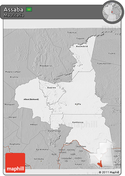 Gray 3D Map of Assaba