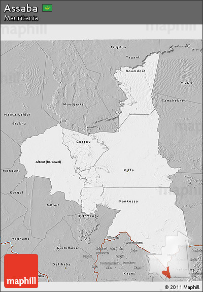 Gray 3D Map of Assaba