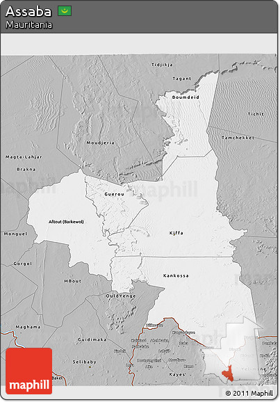 Gray 3D Map of Assaba
