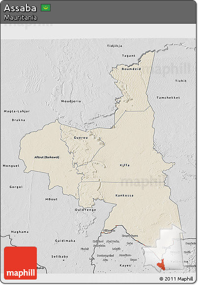 Shaded Relief 3D Map of Assaba, desaturated