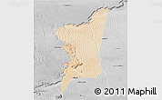 Satellite 3D Map of Boumdeid, desaturated