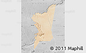 Satellite Map of Boumdeid, desaturated