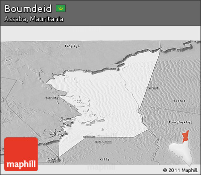 Gray Panoramic Map of Boumdeid