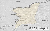 Shaded Relief Panoramic Map of Boumdeid, desaturated