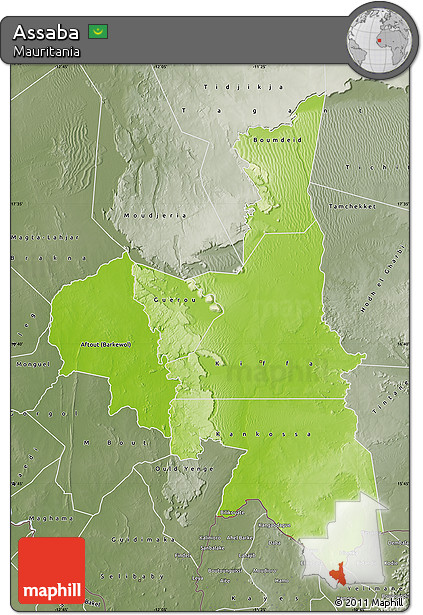 Physical Map of Assaba, semi-desaturated