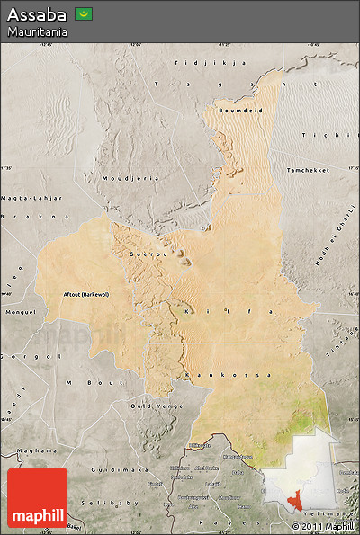 Satellite Map of Assaba, semi-desaturated