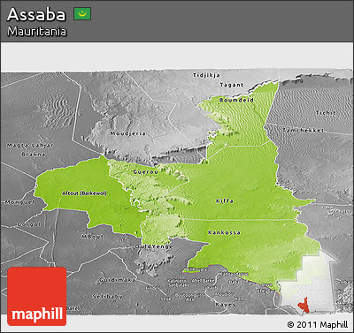 Physical Panoramic Map of Assaba, desaturated