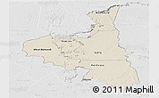 Shaded Relief Panoramic Map of Assaba, lighten, desaturated
