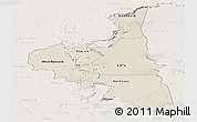 Shaded Relief Panoramic Map of Assaba, lighten