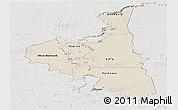 Shaded Relief Panoramic Map of Assaba, lighten, semi-desaturated