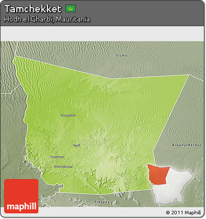 Physical 3D Map of Tamchekket, semi-desaturated