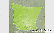 Physical Map of Tamchekket, semi-desaturated