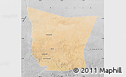 Satellite Map of Tamchekket, desaturated