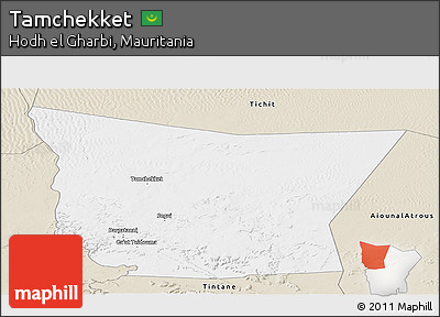 Classic Style Panoramic Map of Tamchekket