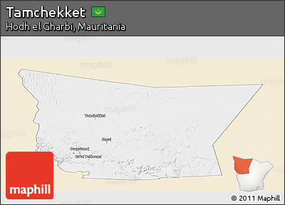 Classic Style Panoramic Map of Tamchekket, single color outside
