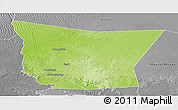 Physical Panoramic Map of Tamchekket, desaturated
