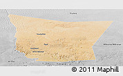 Satellite Panoramic Map of Tamchekket, desaturated