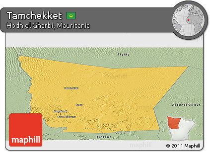 Savanna Style Panoramic Map of Tamchekket