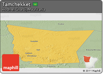 Savanna Style Panoramic Map of Tamchekket