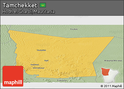 Savanna Style Panoramic Map of Tamchekket