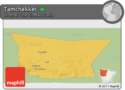 Savanna Style Panoramic Map of Tamchekket, single color outside