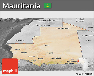 Satellite Panoramic Map of Mauritania, desaturated
