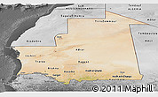 Satellite Panoramic Map of Mauritania, desaturated