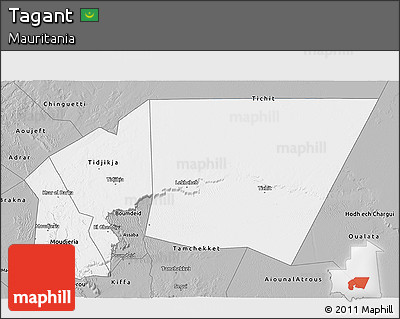 Gray 3D Map of Tagant