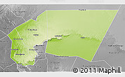 Physical 3D Map of Tagant, desaturated