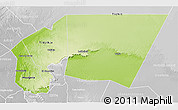 Physical 3D Map of Tagant, lighten, desaturated
