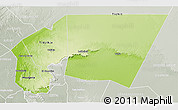 Physical 3D Map of Tagant, lighten, semi-desaturated