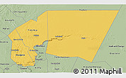Savanna Style 3D Map of Tagant