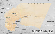 Satellite Map of Tagant, desaturated