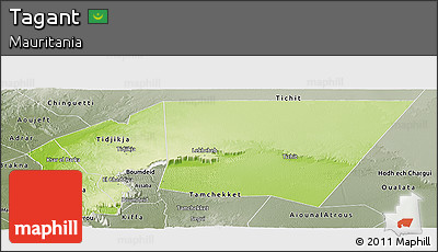 Physical Panoramic Map of Tagant, semi-desaturated