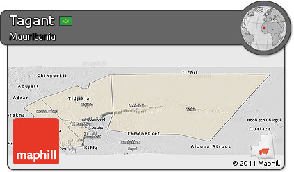 Shaded Relief Panoramic Map of Tagant, desaturated