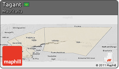 Shaded Relief Panoramic Map of Tagant, desaturated