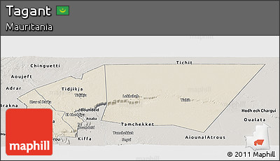 Shaded Relief Panoramic Map of Tagant, semi-desaturated