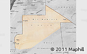 Satellite Map of Tiris Zemmour, desaturated