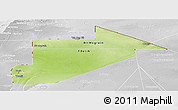 Physical Panoramic Map of Tiris Zemmour, lighten, desaturated