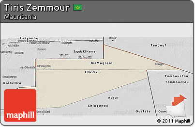 Shaded Relief Panoramic Map of Tiris Zemmour, desaturated