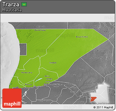 Physical 3D Map of Trarza, desaturated