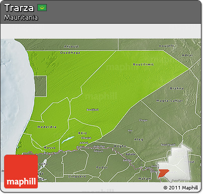 Physical 3D Map of Trarza, semi-desaturated