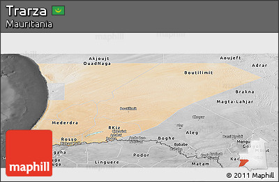Satellite Panoramic Map of Trarza, desaturated