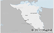 Gray 3D Map of Palizada, single color outside