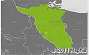 Physical 3D Map of Palizada, desaturated