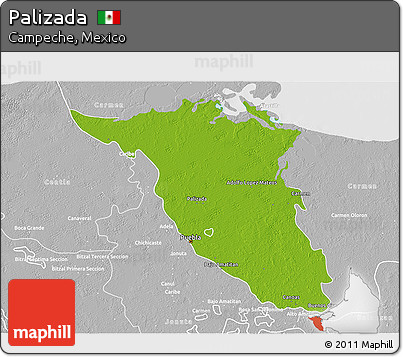 Physical 3D Map of Palizada, lighten, desaturated