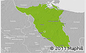 Physical 3D Map of Palizada, lighten, desaturated