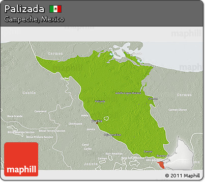 Physical 3D Map of Palizada, lighten, semi-desaturated