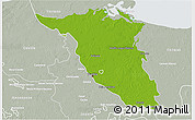 Physical 3D Map of Palizada, lighten, semi-desaturated