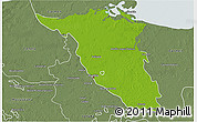 Physical 3D Map of Palizada, semi-desaturated